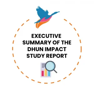 Executive Summary of the Dhun Impact